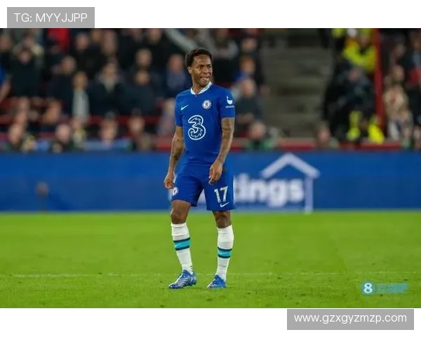 全球足球场上的黑人明星球员盘点与成就分析 全球足球场上的黑人明星球员盘点与成就分析