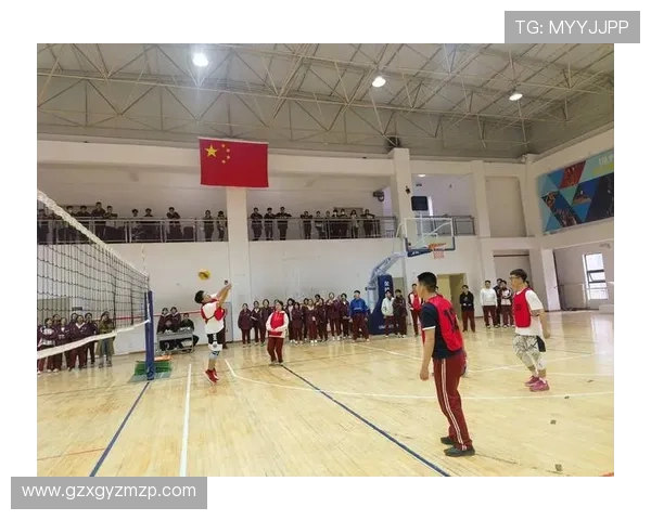 北京排球队引领排球意识新潮流最新TOP10榜单揭晓