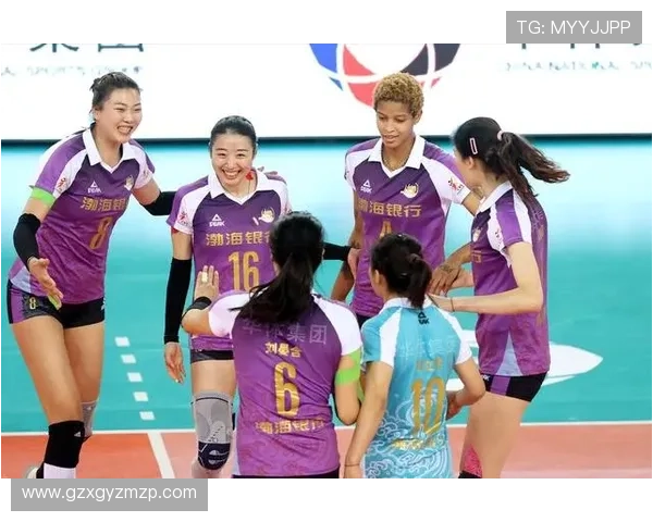 北京排球队状态对比深度解析与未来发展趋势探讨